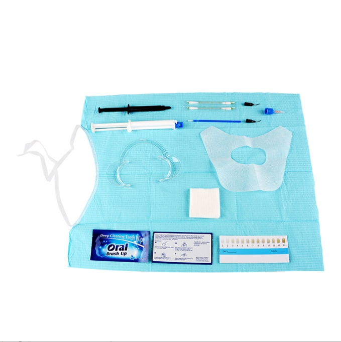 Teeth Whitening Gel Syringes - Kit Pemutih Gigi Profesional Dual Barrier