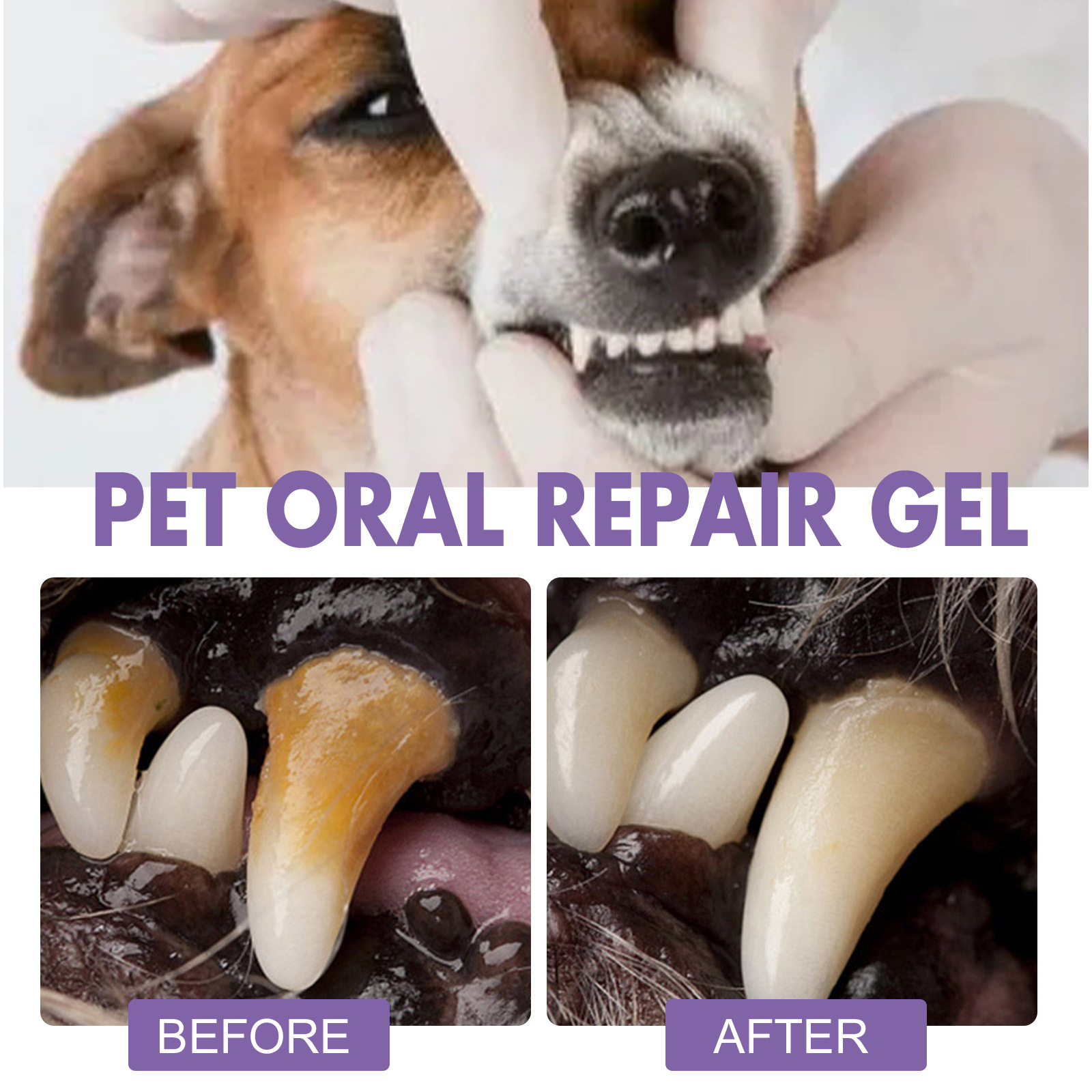 Gel perbaikan mulut hewan peli - Teeth Whitening And Stain Removal ulasan dan harga